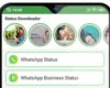 Cara Download Status WhatsApp di Android dan Simpan ke Galeri